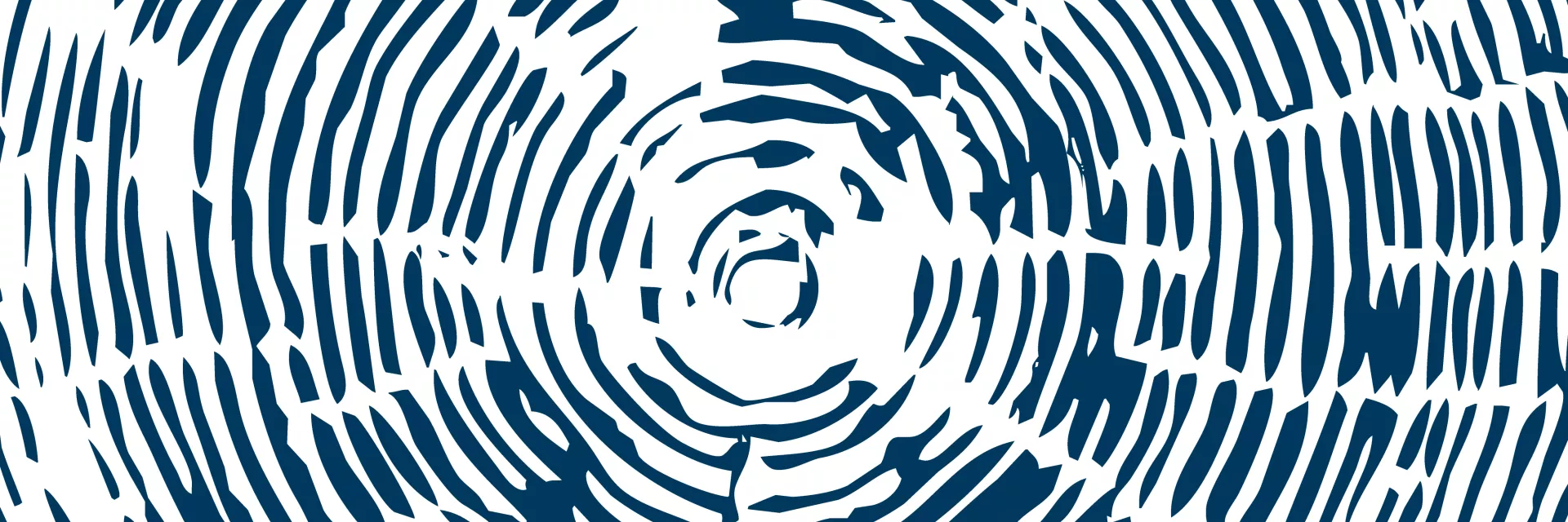 Graphic: Dark blue concentric circles and radiating lines forming a textured, web-like pattern on a white background.