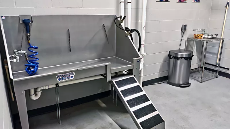 Stainless steel self-service dog wash station with ramp, blue hose, and a grooming area.