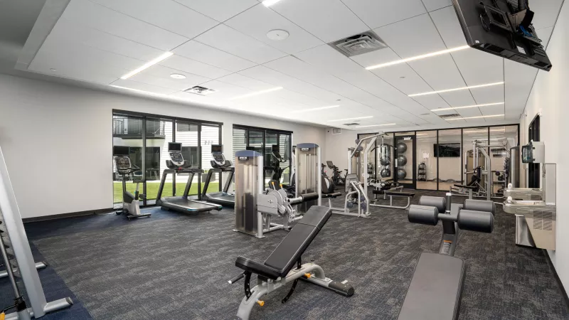 Empty, modern gym with cardio and weightlifting equipment, blue carpet, and large windows looking outside.
