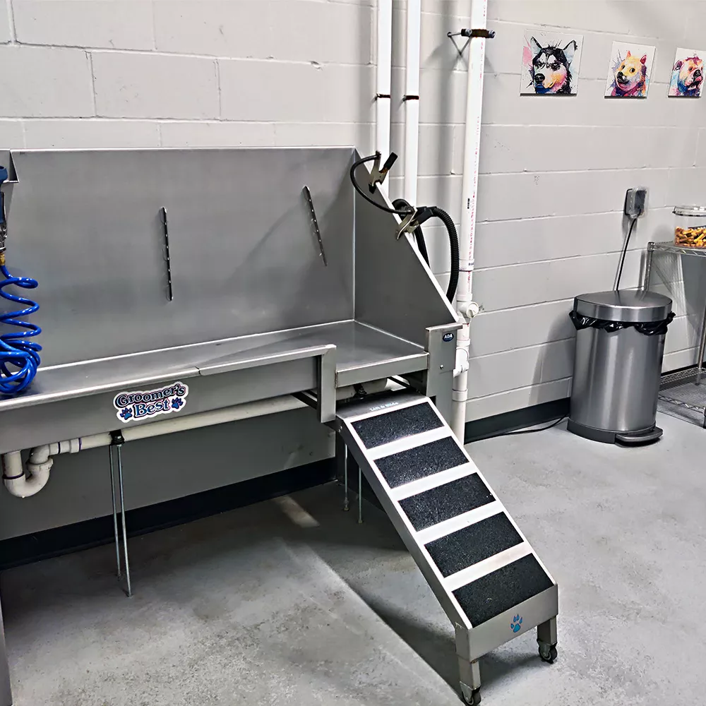 Stainless steel self-service dog wash station with ramp, blue hose, and a grooming area.